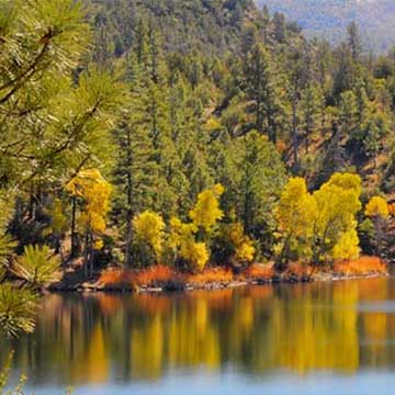 Beautiful lake view of water surrounded by pine and deciduous trees, with fall colors
